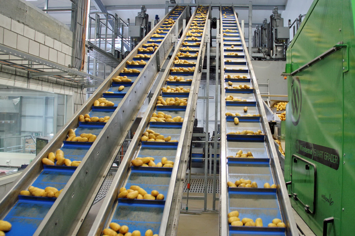 Kartoffel Produktion